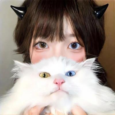 花颜劫